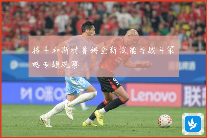 格斗加斯特鲁姆全新技能与战斗策略专题观察
