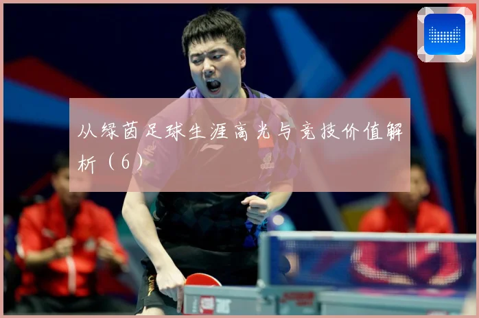 从绿茵足球生涯高光与竞技价值解析（6）