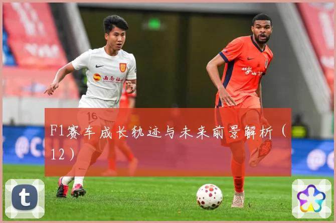 F1赛车成长轨迹与未来前景解析（12）