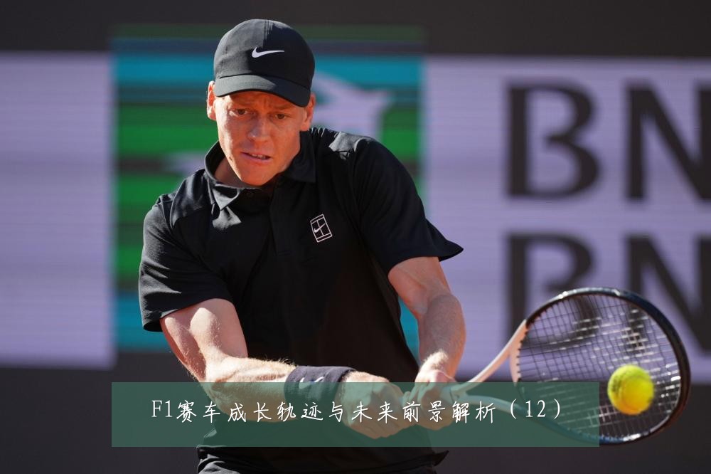 F1赛车成长轨迹与未来前景解析(12)