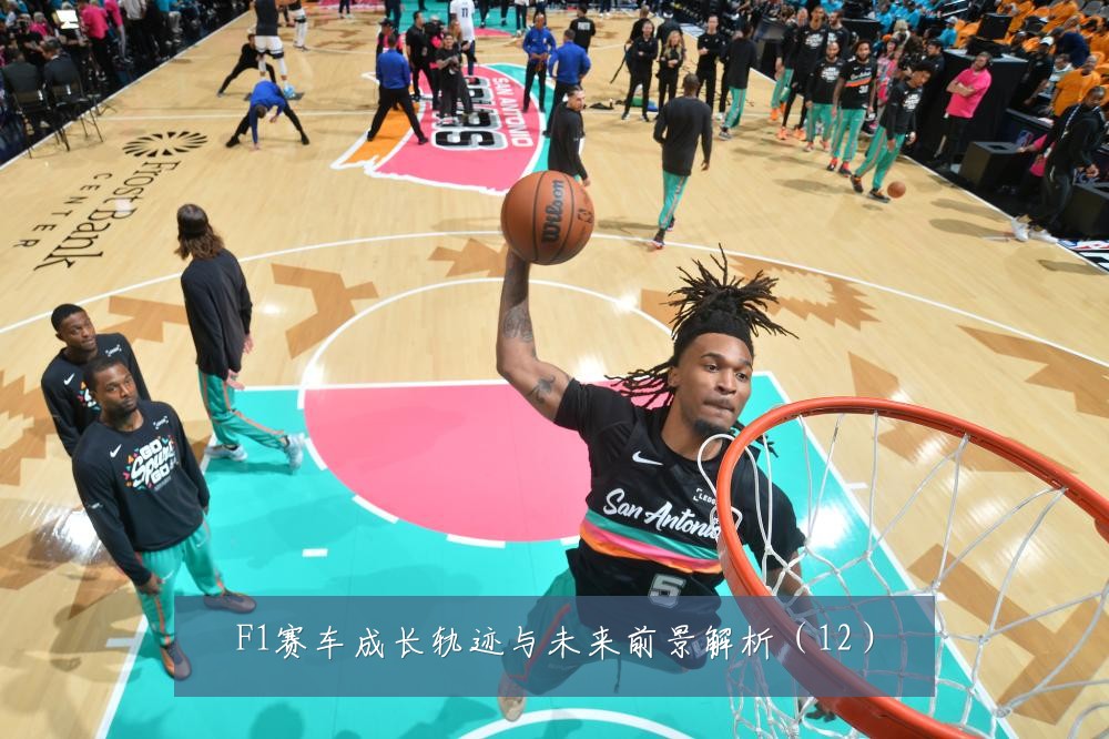 F1赛车成长轨迹与未来前景解析(12)